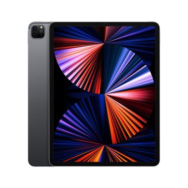 [Refurbished] iPad Pro (12,9-inch) - 2021 - Wi-Fi + Cellular - 1TB - Space Gray